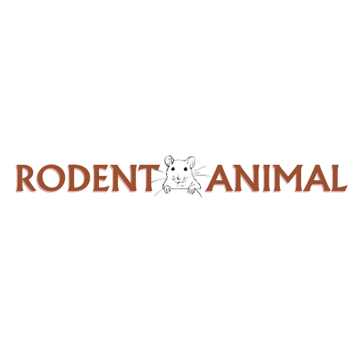 RODENT ANIMAL