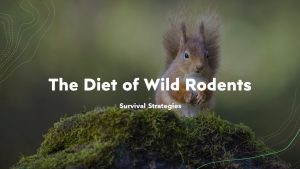 The Diet of Wild Rodents: Survival Strategies