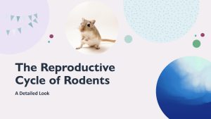 The Reproductive Cycle of Rodents: A Detailed Look